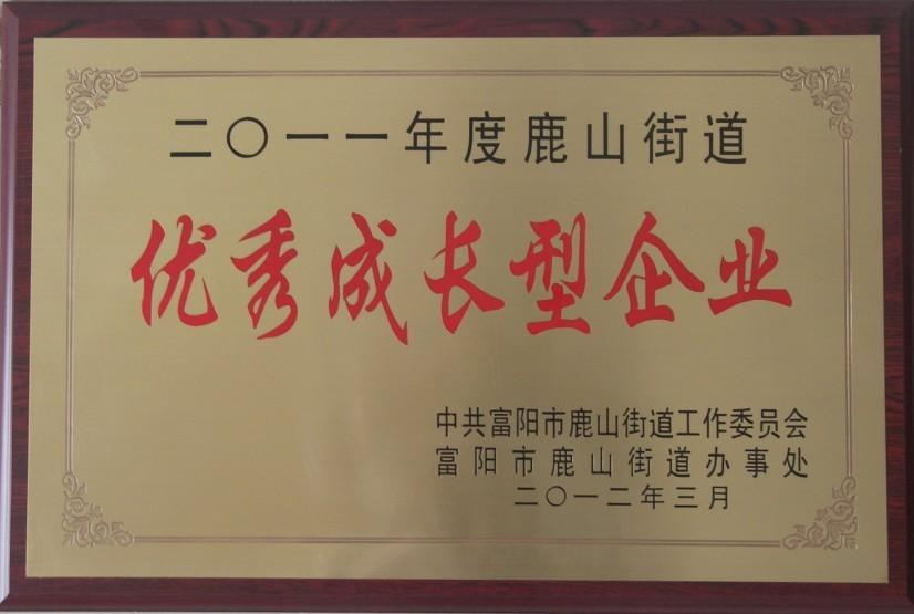 永盛儀表榮獲2011年度“優(yōu)秀成長(zhǎng)型企業(yè)”榮譽(yù)稱號(hào)